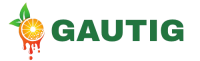 Logo gautig.com